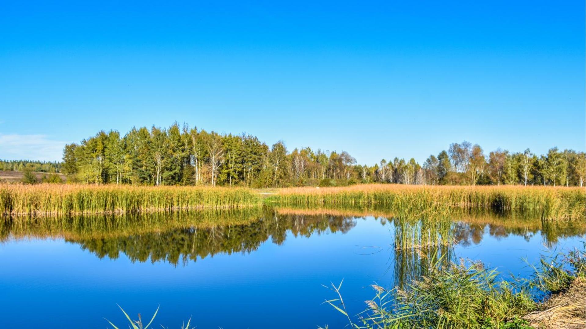 Sherwood Lake Hotel Berezovka  Bagian luar foto